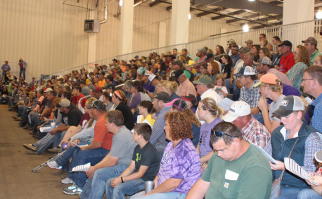 Kansas Junior Livestock Show 2016 crowd