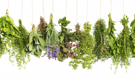 10 Herbs to Cook With