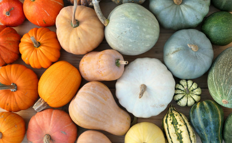 Varieties of Winter Squash