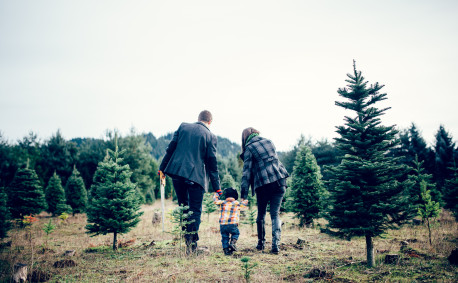 Family Christmas Tree Shopping