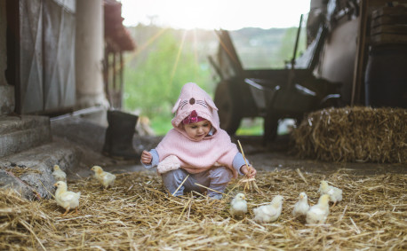 Baby in barn with chicks - spring chickens