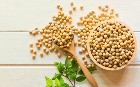 Benefits of Soy