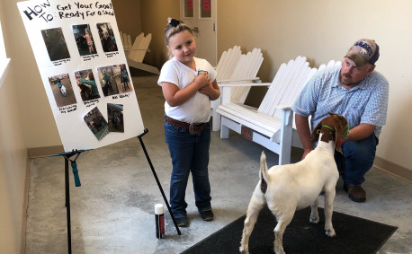 Things farm kids learn - showing animals