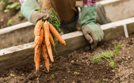 Spring Into Gardening