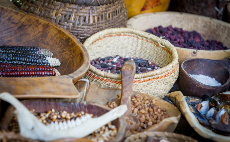 Native American foods - the first Thanksgiving