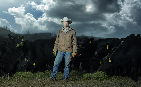 rancher with cattle