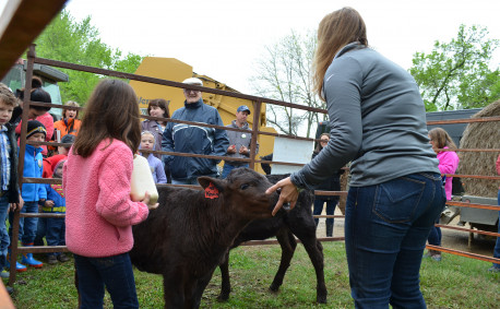 My Day at the Ranch, bucket calf