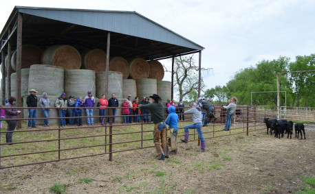 My Day at the Ranch, tours