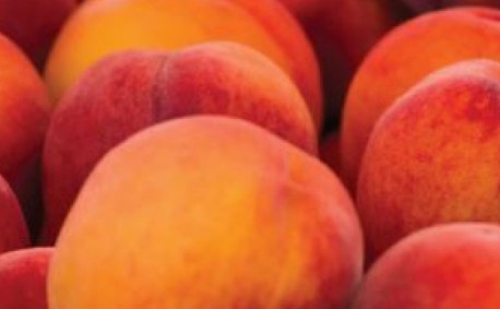 Peaches