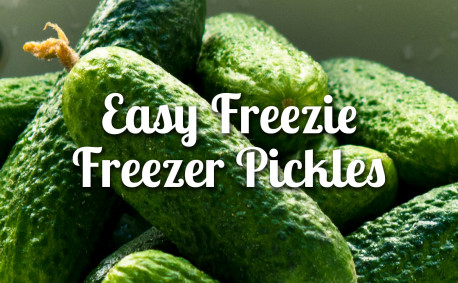 Pickles freezer recipe