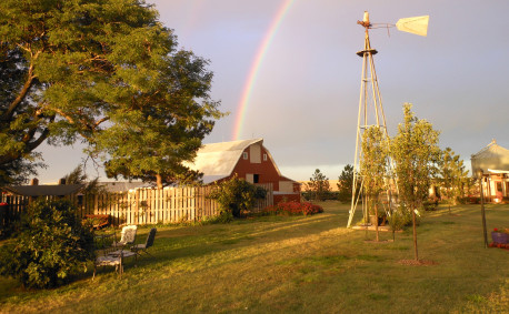 Shiloh Vineyard in Western Kansas