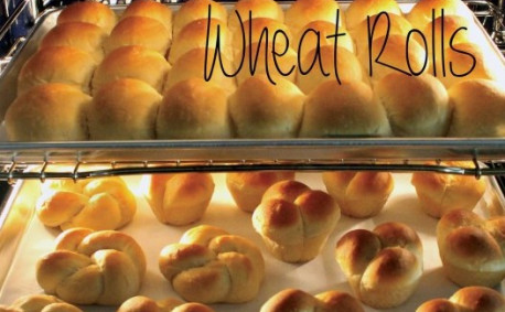 Wheat Rolls