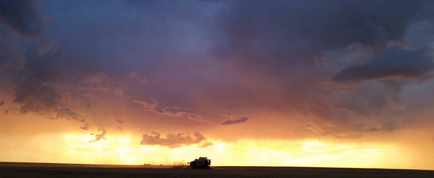 Kevin Holle Kansas farmer in combine