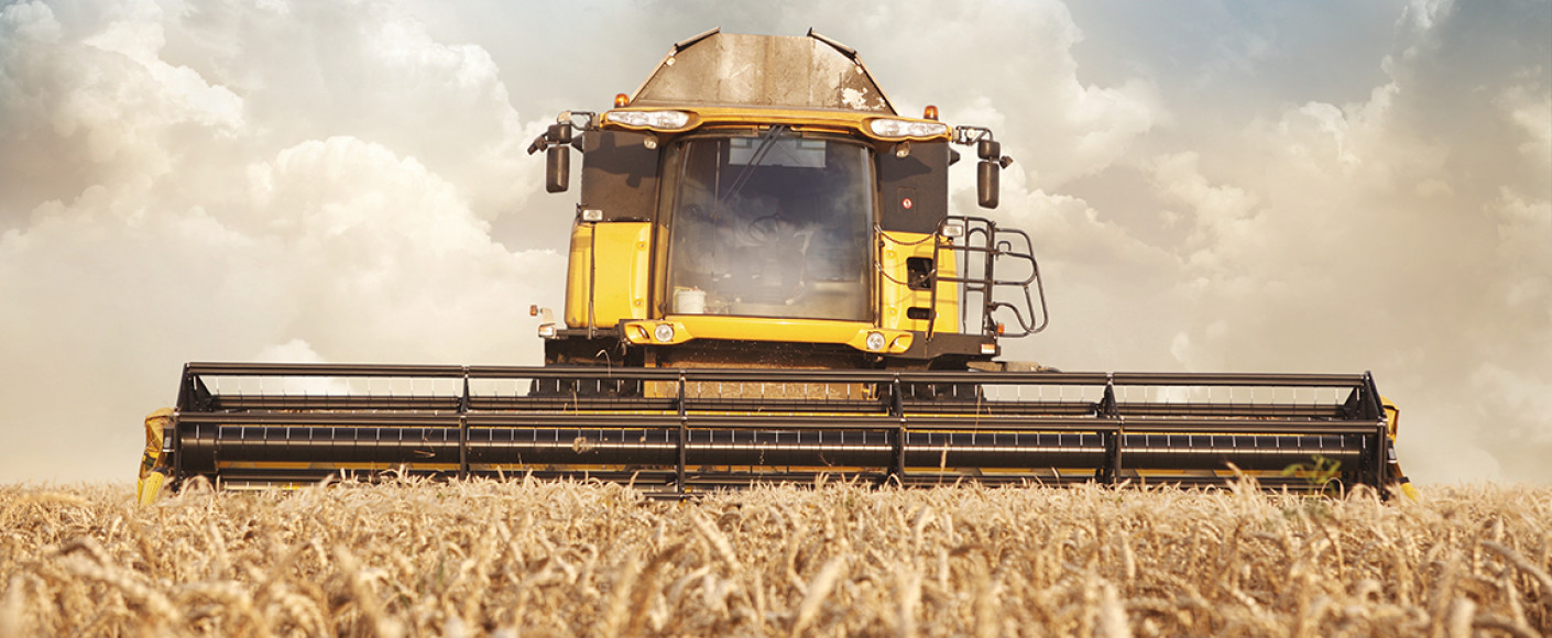 Combine - Wheat harvest