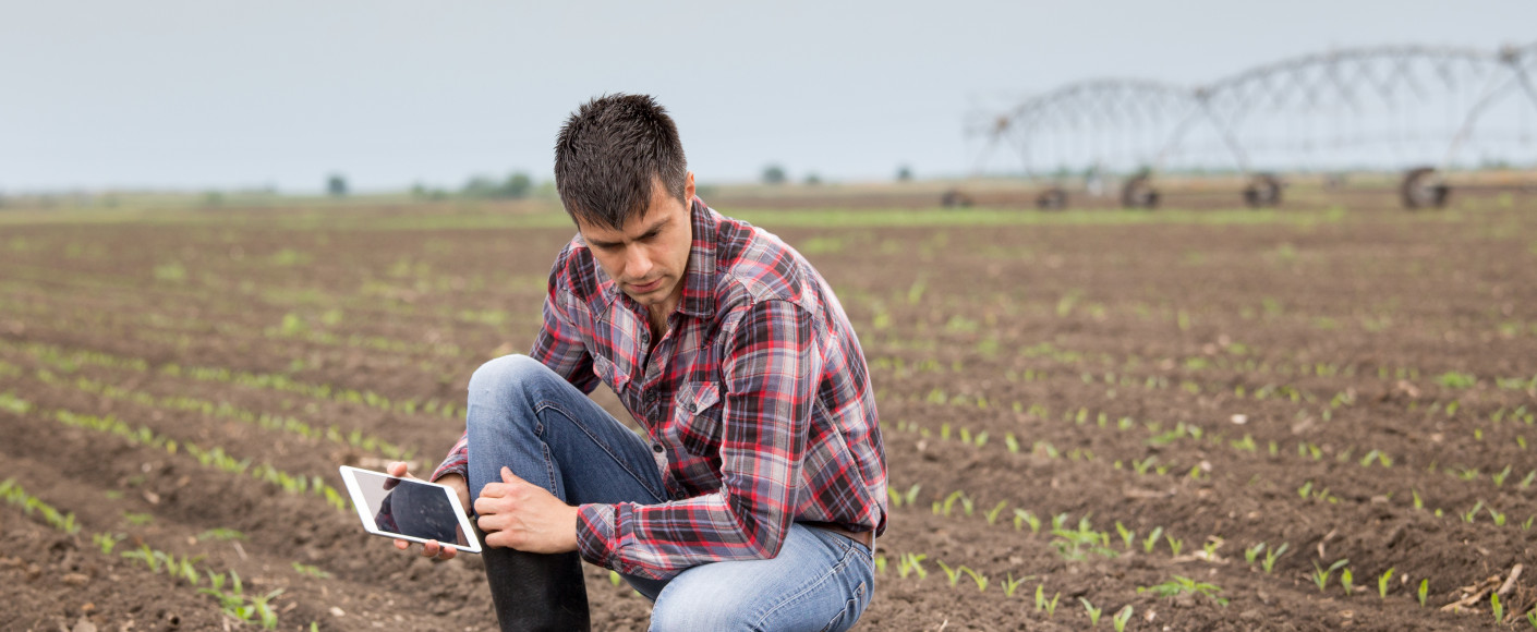 Farmer checking soil