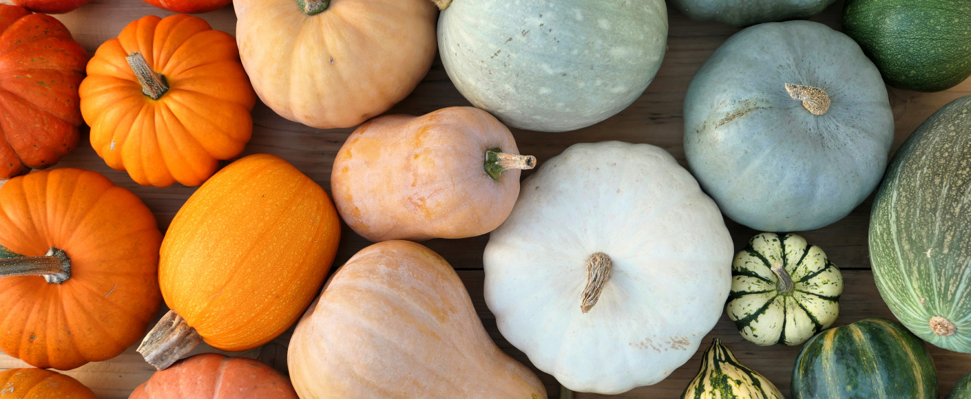 Varieties of Winter Squash