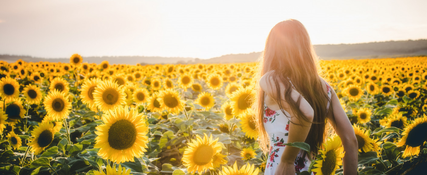 Woman in a sunflower field