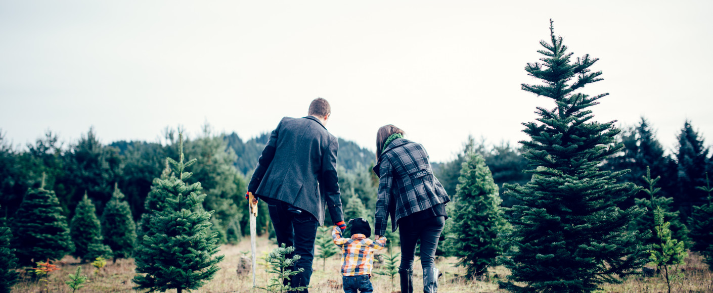 Family Christmas Tree Shopping