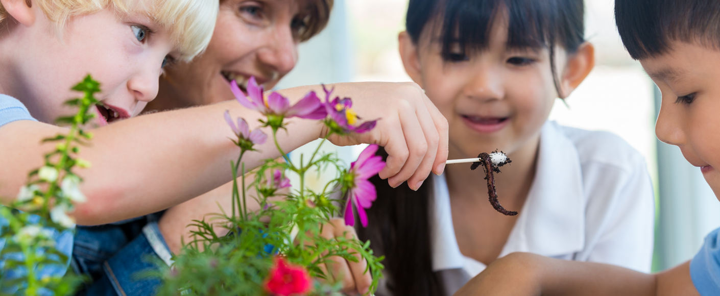 Agriculture resources for teachers