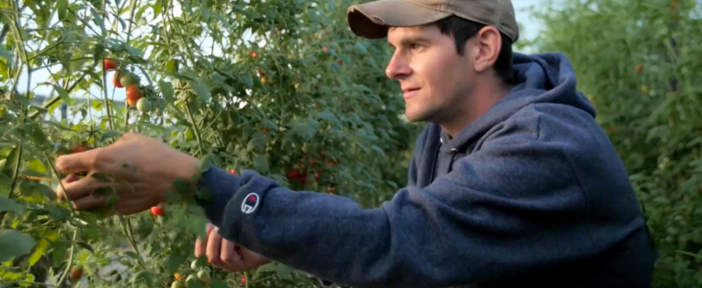 Juniper Hill Farms Scott Thellman Picking