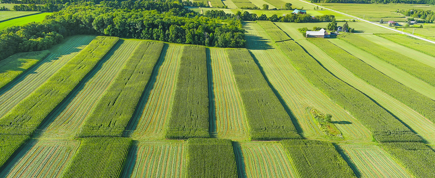 Crops grown in the United States