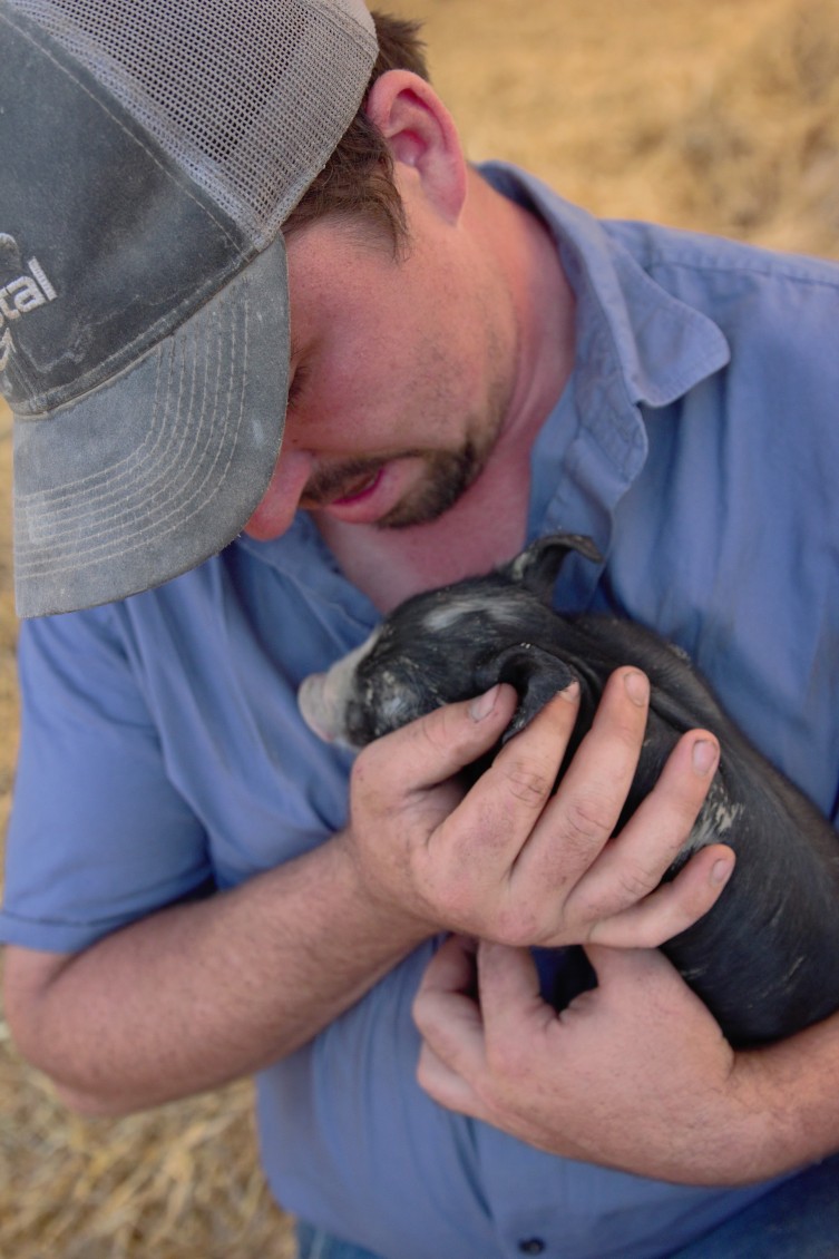 R Family Farms Berkshire Piglet