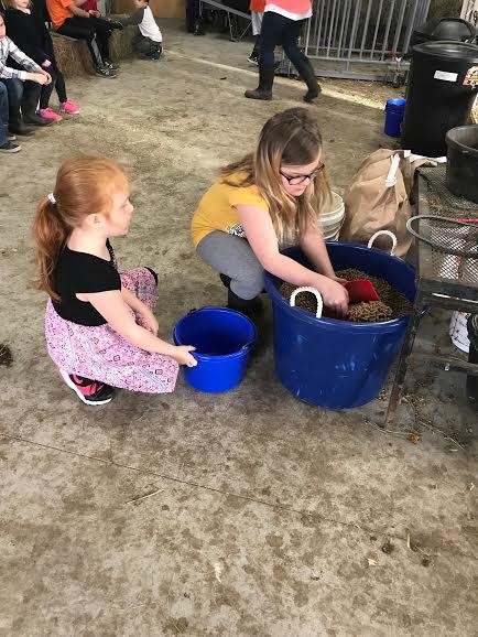 Bluestem students help with farm chores at school