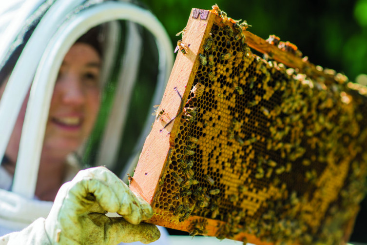 Shop local - Beekeeper