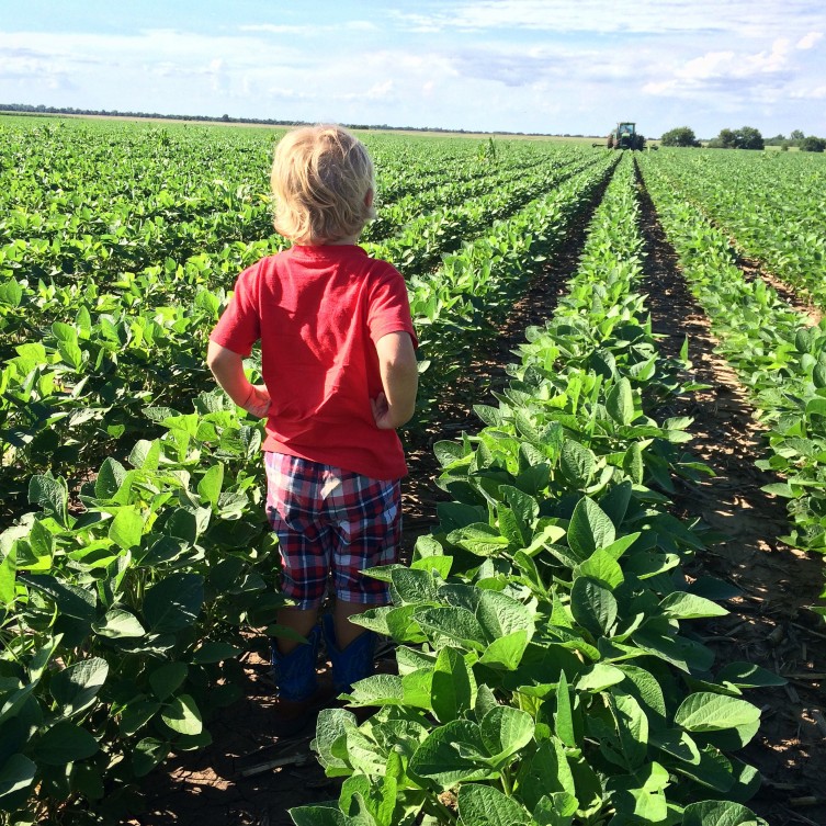 Baldwins - Child in Field