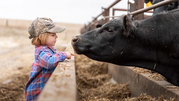 The Kraffts Kansas Cattle Ranchers