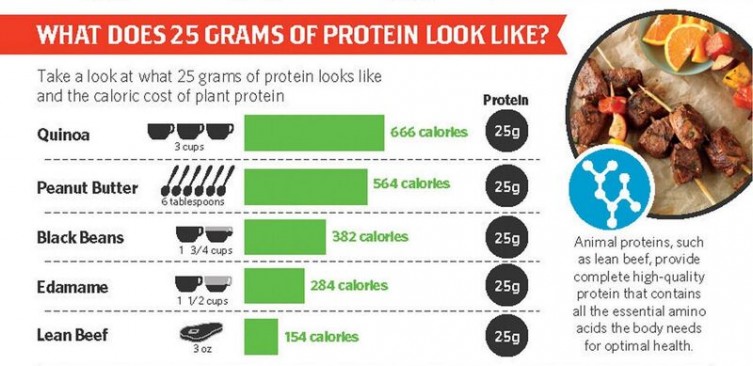 Get the Power of Protein with Beef