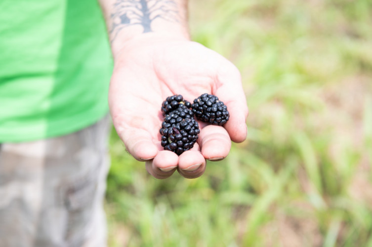 Boys Grow fresh produce in Kansas City