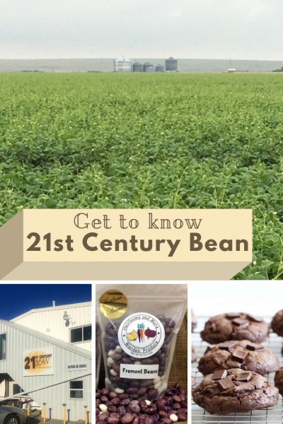 21st Century Bean for Pinterest