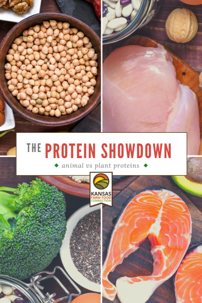 Protein Showdown: Animal or plant