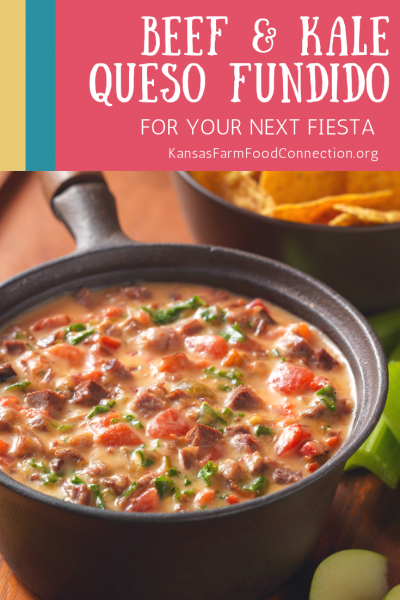 Hearty and Delicious, this dip melds beef and cheese with a perfect hint of veggies. It's sure to be a crowd pleaser.