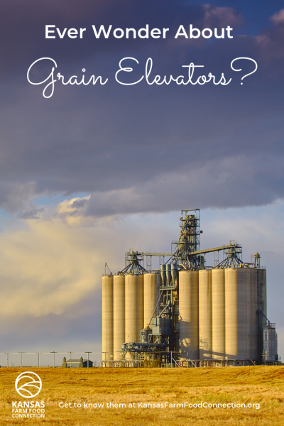 How do grain elevators work