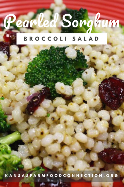 Best Broccoli Salad with Sorghum