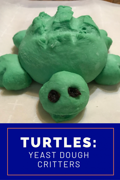 Pin this Cute DIY Craft - Baking Turtle for Kids