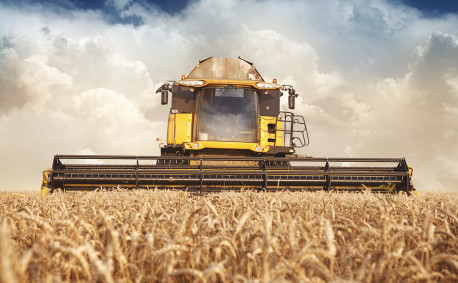 Combine - Wheat harvest