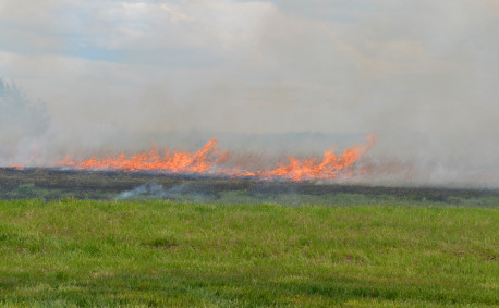 Why farmers burn fields