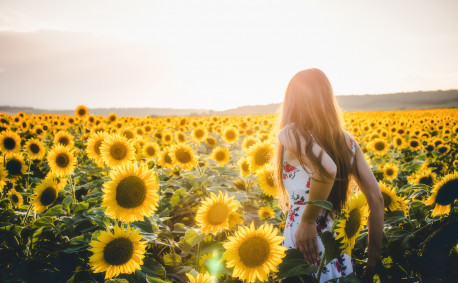 Woman in a sunflower field