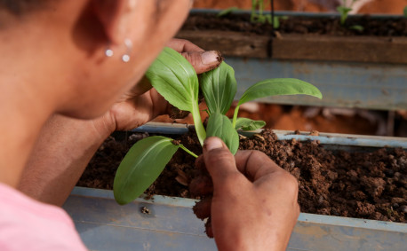 Woman inspecting a plant