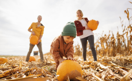 Pumpkin patches and orchards in Kansas 2022