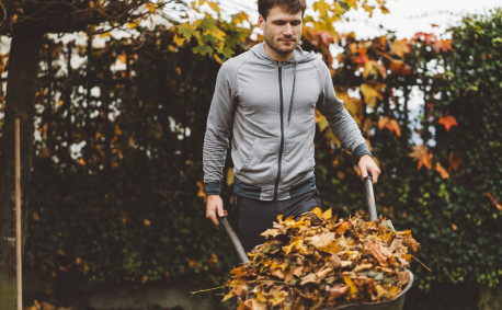 Lawn care tips for fall leaves