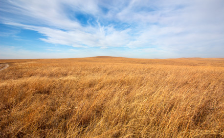 Kansas Flint Hills