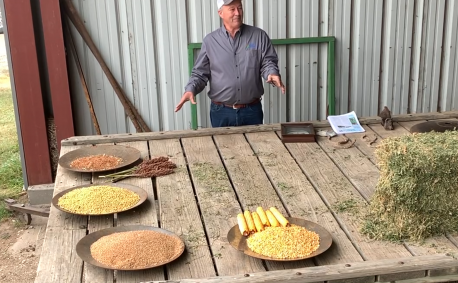 Kent Winter Kansas grain crops