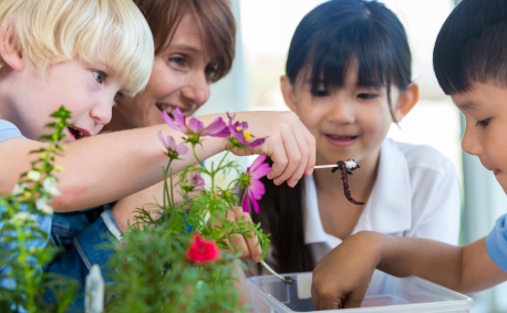 Agriculture resources for teachers